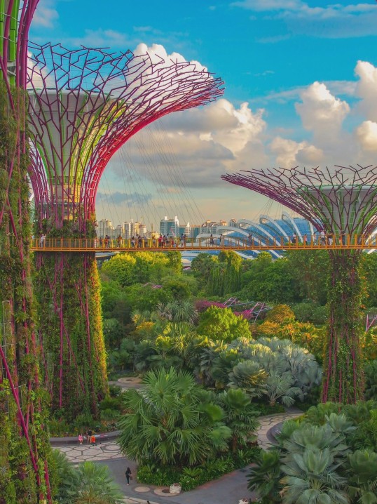 Observatorio y cielo estrellado