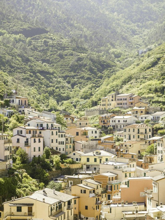 Viñedo Maipo al atardecer