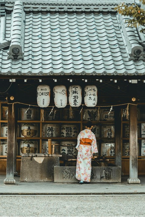 Ballenas en el sur de Chile