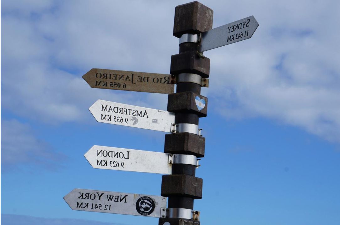 Puerto y embarcaciones